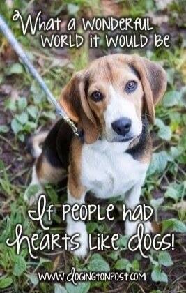 What a wonderful world it would be If people had hearts like dogs! WWW.DOGINGTONPOST.COM