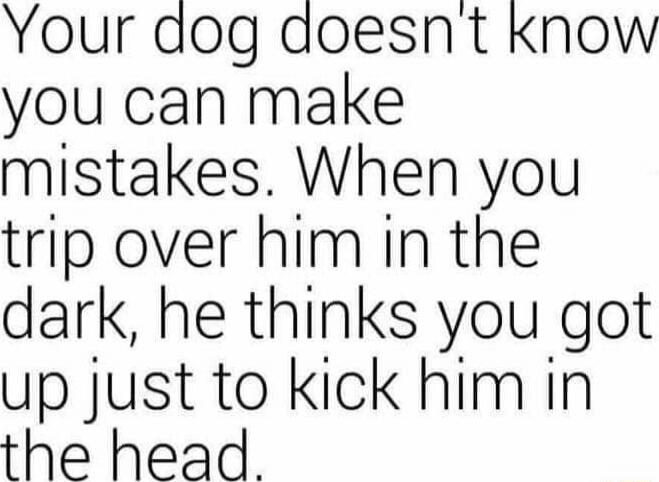 Your dog doesn't know you can make mistakes. When you trip over him in the dark, he thinks you got up just to kick him in the head.