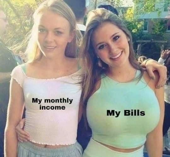 My monthly income My Bills