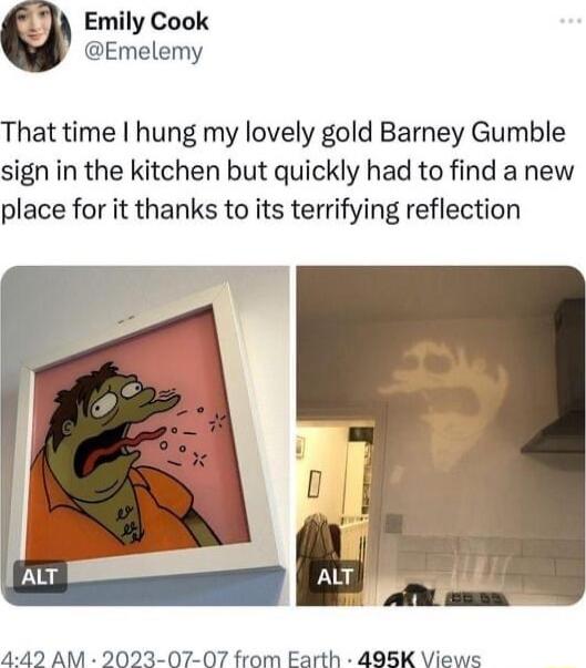 Emily Cook Emelemy That time hung my lovely gold Barney Gumble sign in the kitchen but quickly had to find a new place for it thanks to its terrifying reflection 442 AM 2023 07 07 from Earth 498K Views