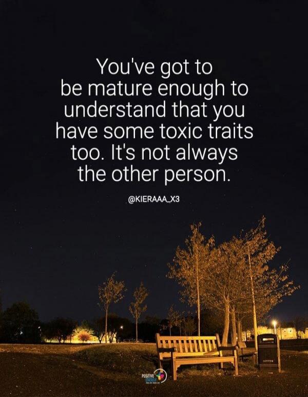 You've got to be mature enough to understand that you have some toxic traits too. It's not always the other person.