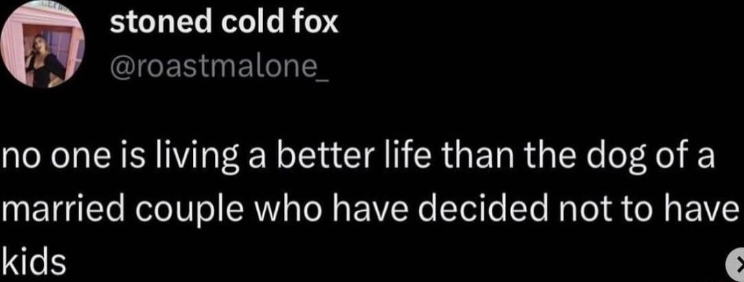 stoned cold fox GIGEREITy I3 QXN S VI e R CIA N ER GE RGN o of 4 married couple who have decided not to have kids