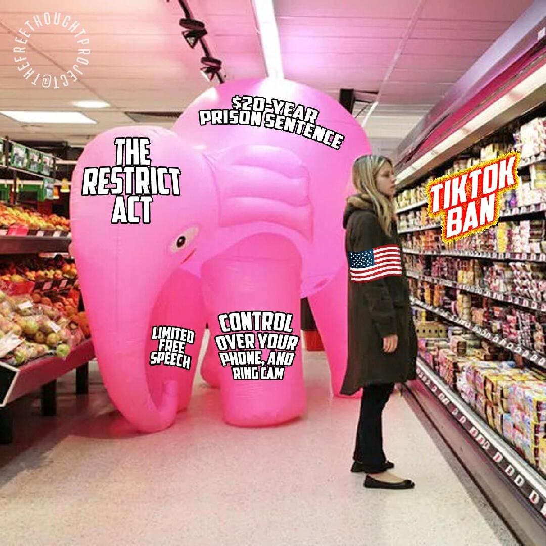 A 208 pn551754h TEpe DESTR A WONTROL y W vuun SPEECH DMDNEVANG RINGEAN