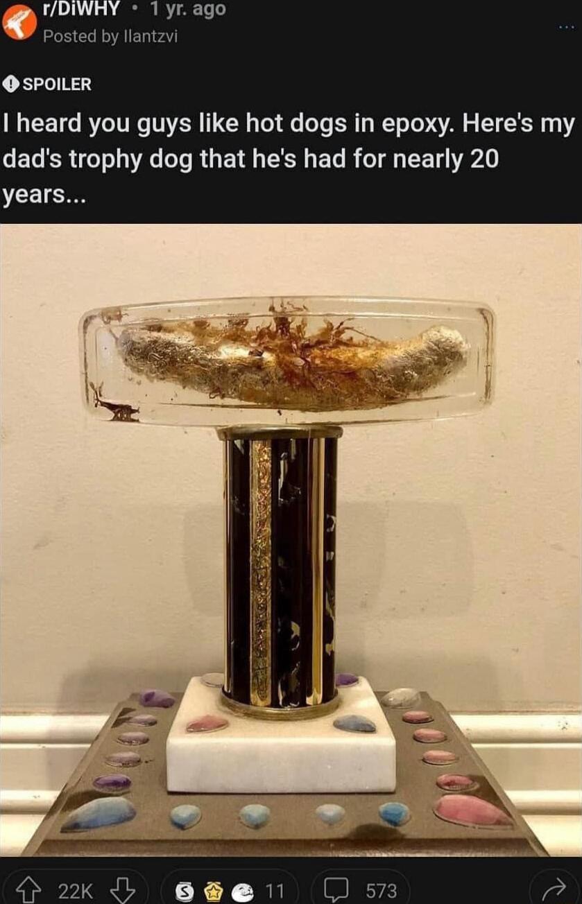 DIWHY O SPOILER heard you guys like hot dogs in epoxy Heres my dads trophy dog that hes had for nearly 20 years