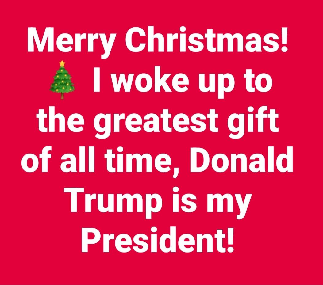 Merry Christmas! 🎄 I woke up to the greatest gift of all time, Donald Trump is my President!
