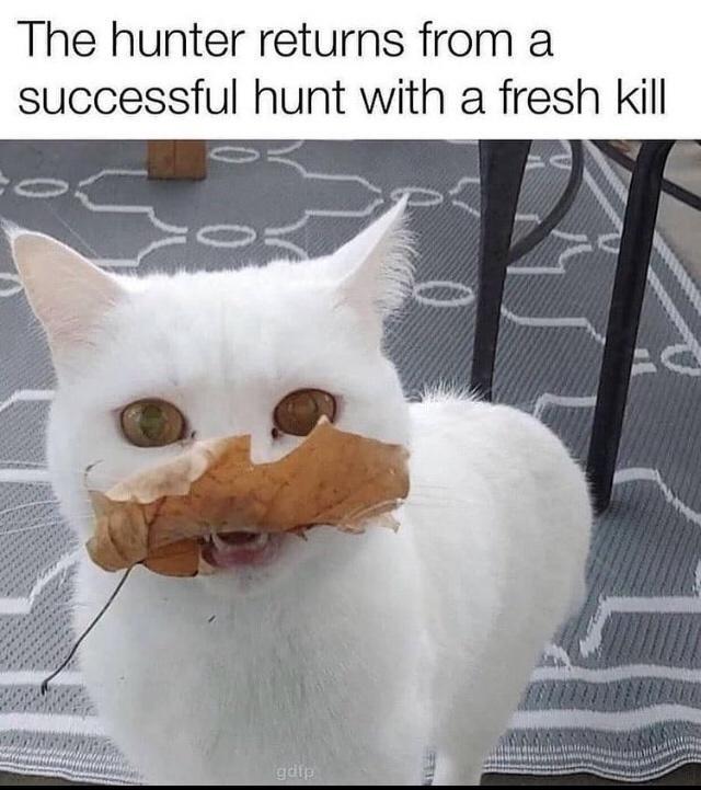 The hunter returns from a