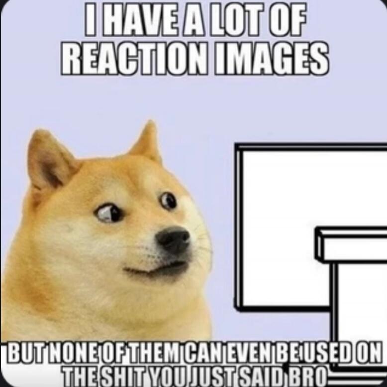 I HAVE A LOT OF REACTION IMAGES BUT NONE OF THEM CAN EVEN BE USED ON THE SHIT YOU JUST SAID BRO