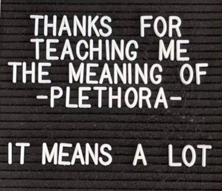 THANKS FOR TEACHING ME THE_MEANING OF PLETHORA IT MEANS A LOT