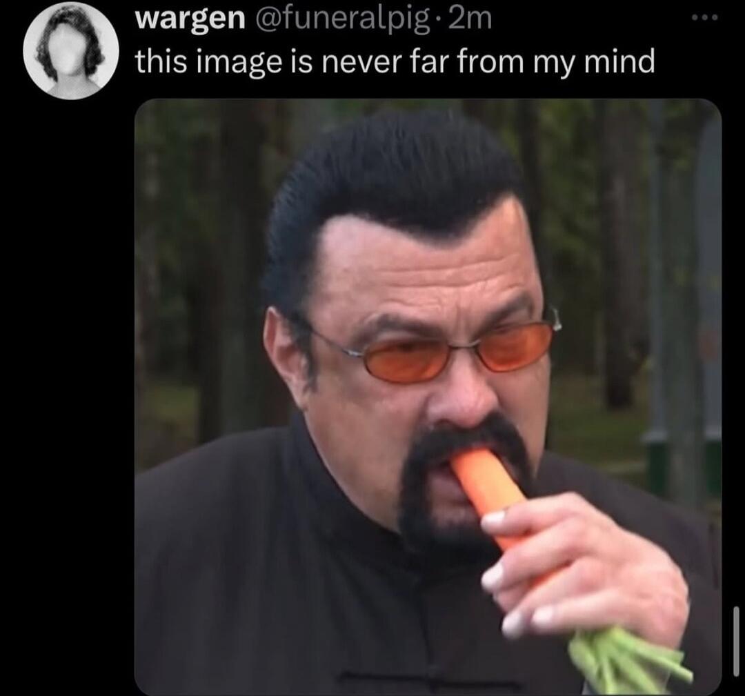 wargen @funeralpig · 2m this image is never far from my mind