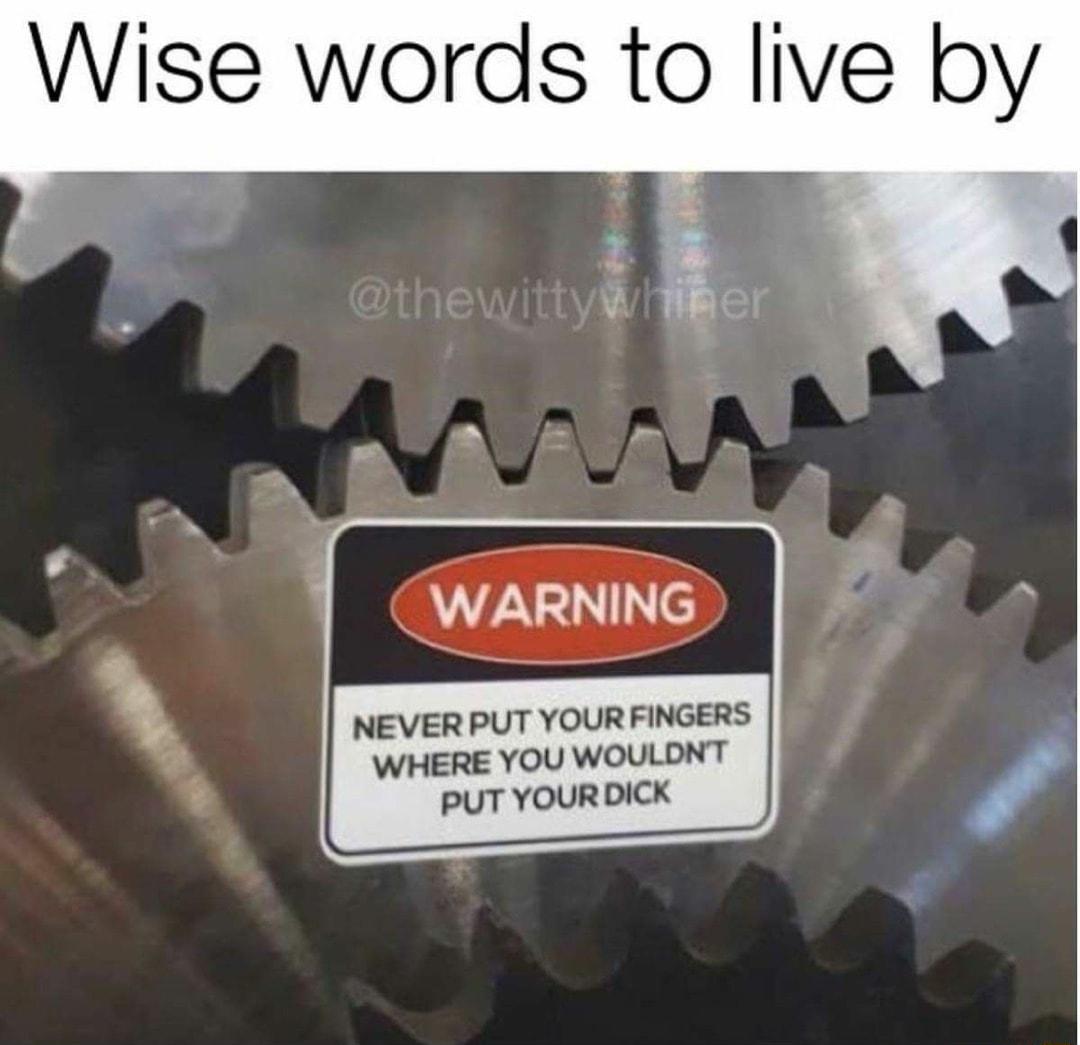 Wise words to live by WARNING NEVER PUT YOURFINGERS WHERE YOU WOULDNT PUT YOURDICK