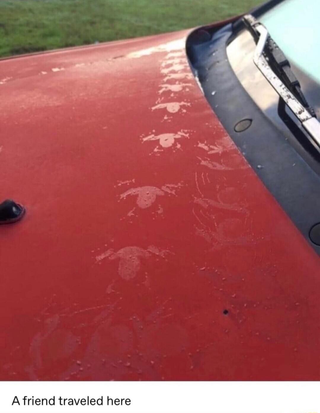 Afriend traveled here