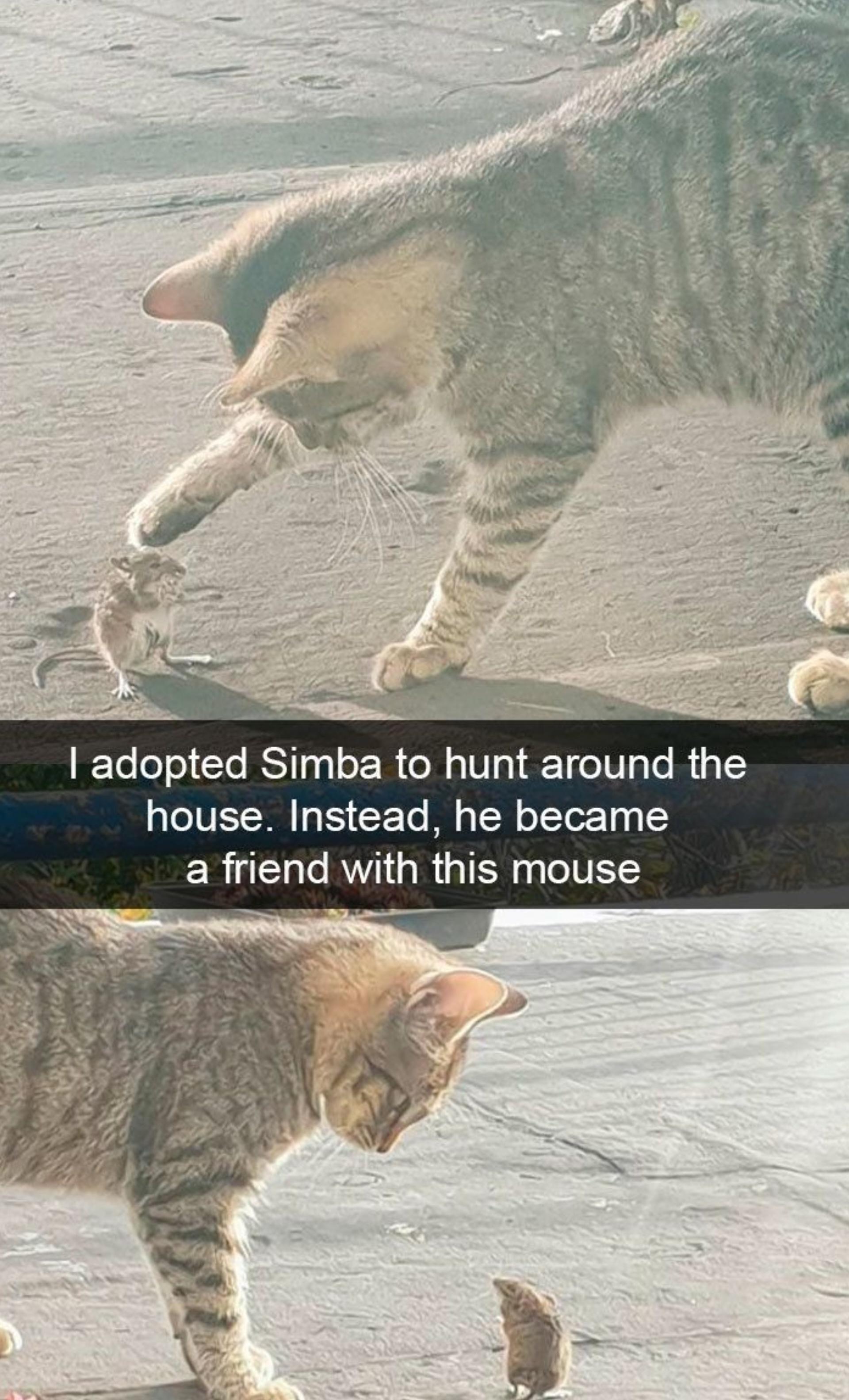 o O O G s A O 85 o0 O tbm 5 0w hhhl ol e S 8E bw E c P O v e S o O oy L