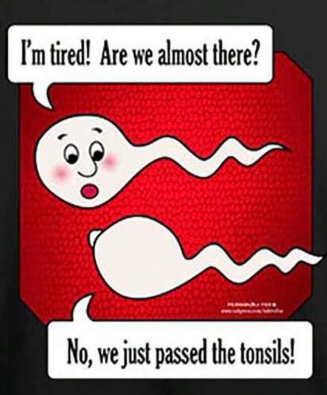 I'm tired! Are we almost there? No, we just passed the tonsils!