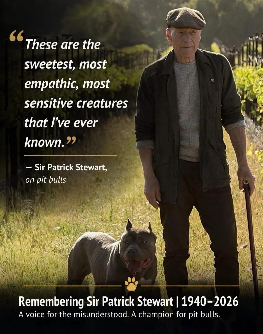 These are the sweetest, most empathic, most sensitive creatures that I've ever known. - Sir Patrick Stewart, on pit bulls. Remembering Sir Patrick Stewart | 1940-2026. A voice for the misunderstood. A champion for pit bulls.