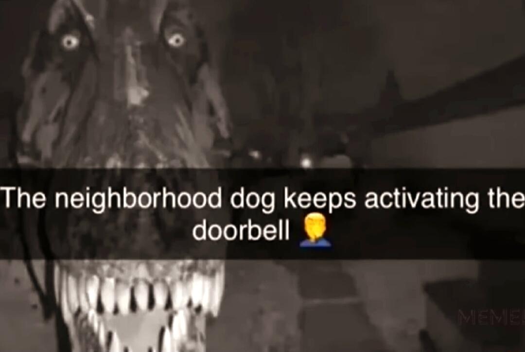 v WITNE The neighborhood dog keeps activating the doorbell m