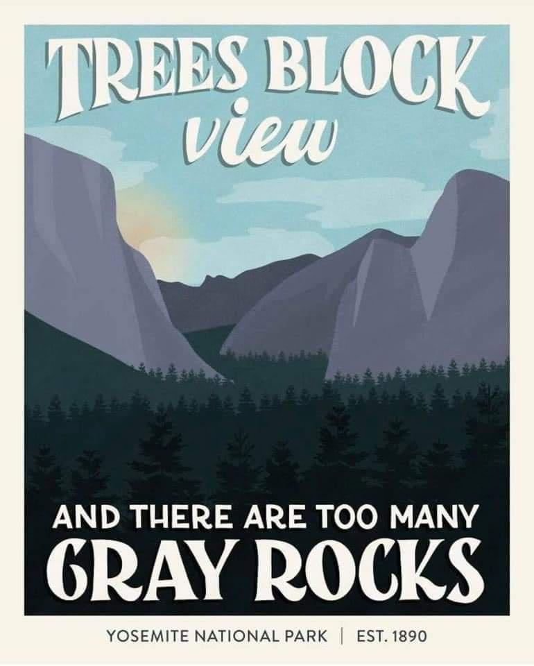 TREES BLOGK View AND THERE ARE TOO MANY GRAY RCKS OOOOOOOOOOOOOOOOOOOOOOOOOOOO