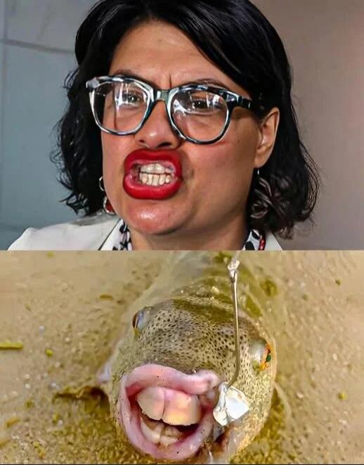 A split-image meme showing a furious woman with red lipstick on the top and a hooked fish on the bottom.
