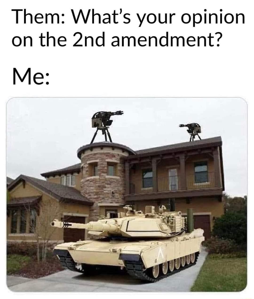 Them Whats your opinion on the 2nd amendment Me