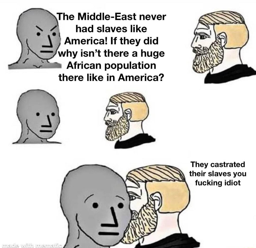 The Middle East never had slaves like Americal If they did African populati there like in America They castrated their slaves you fucking idiot