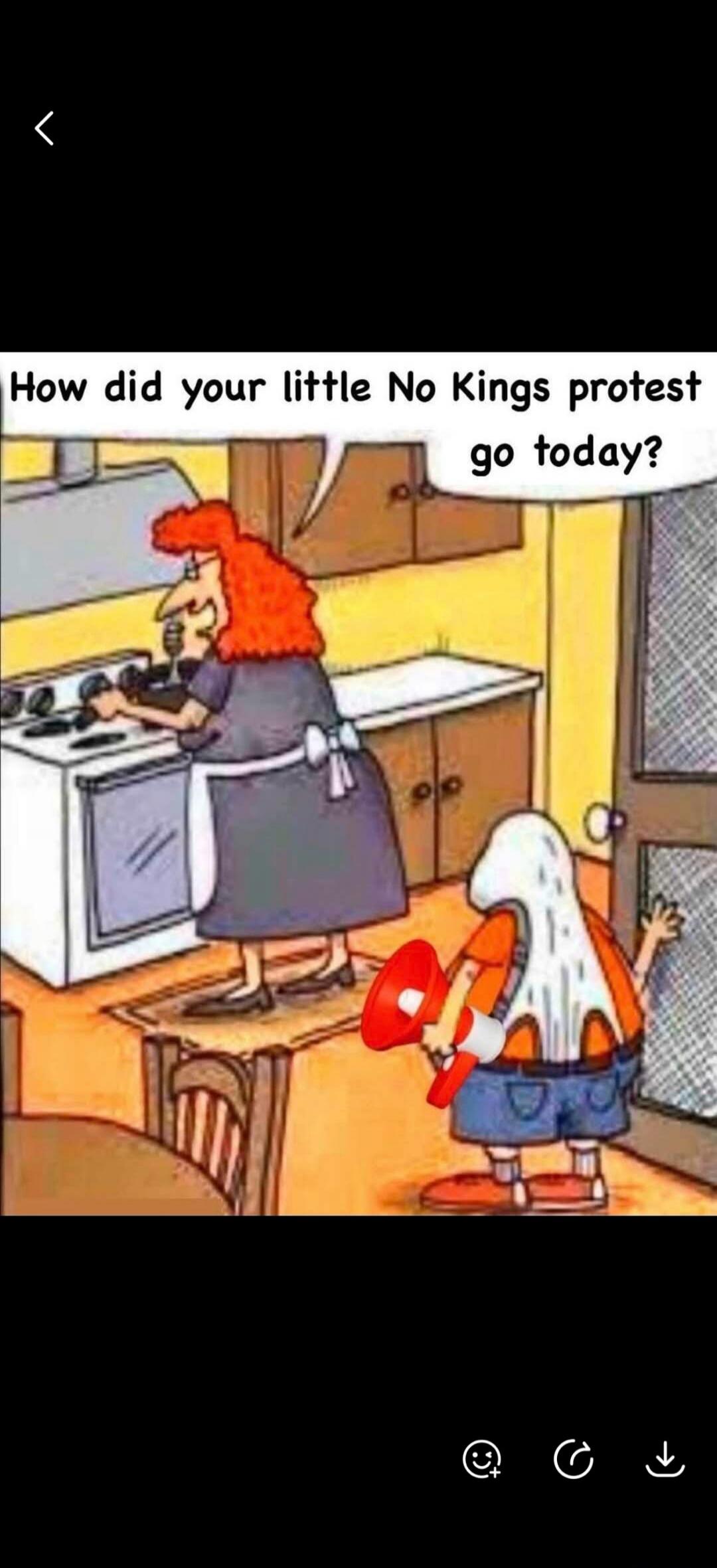 How did your little No Kings protest go today?