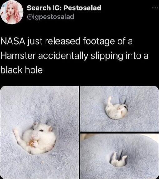 Search IG Pestosalad QT EEGEEIED NASA just released footage of a Hamster accidentally slipping into a black hole