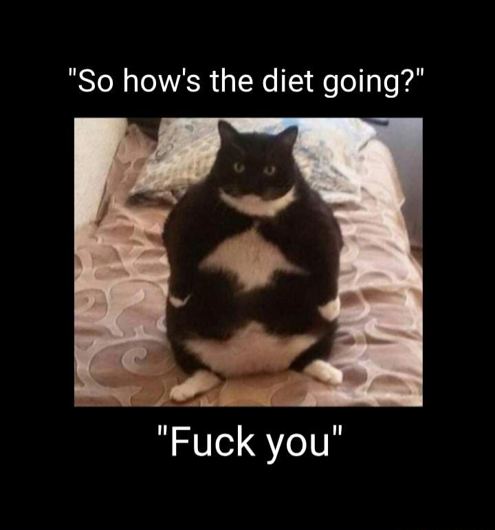 So hows the diet going Fuck you