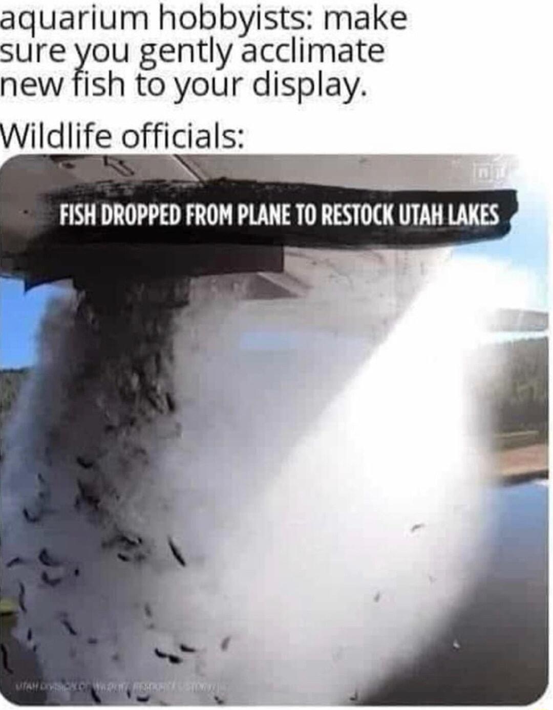 aquarium hobbyists make sure ou gently acclimate new fish to your display Wildlife officials FISH DROPPED FROM PLANE TO RESTOCK UTAH LAKES