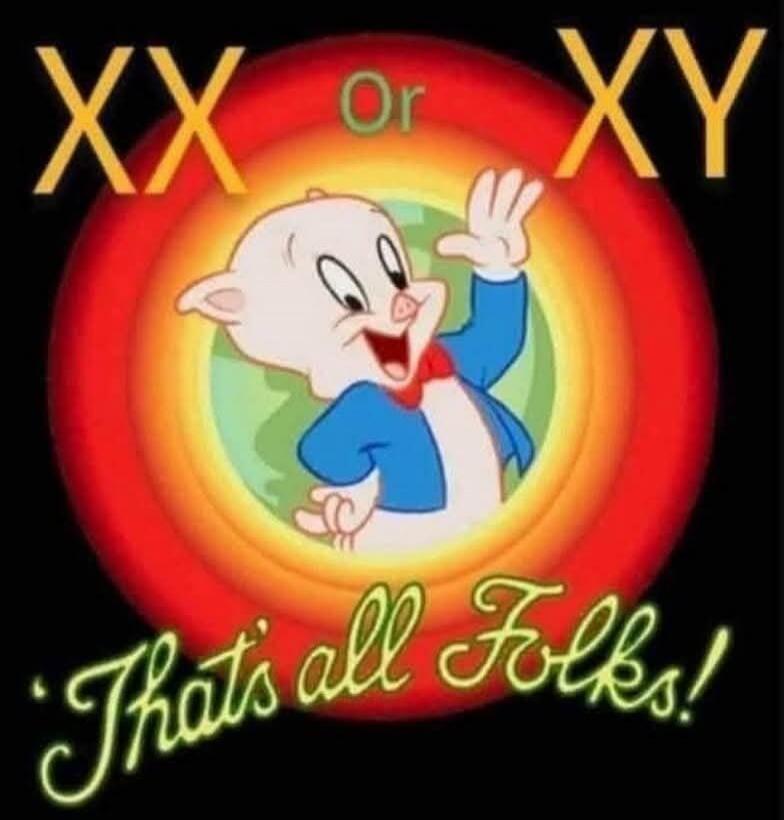 XX Or XY That's all Folks!
