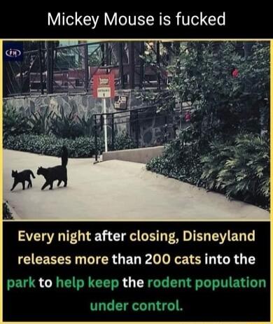 Mickey Mouse is fucked AU G G CE L PRDIER EEL T CEEEERIN CIERGEG L T TG R k5 hotn e sulation