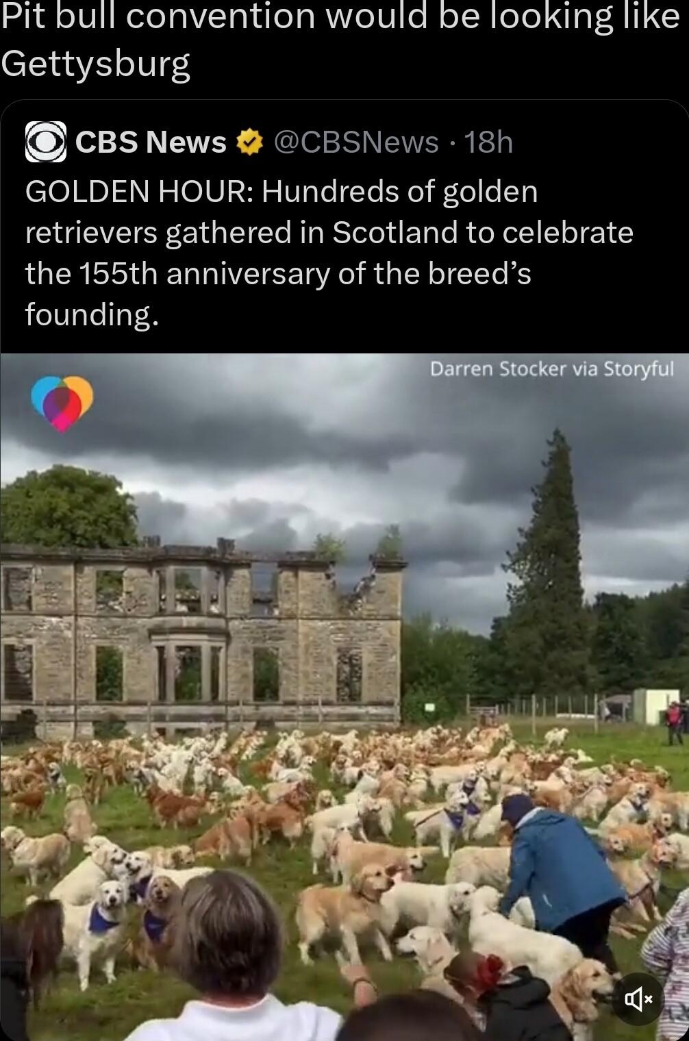 Pit bull convention would be looking like Gettysburg e15 EWEY Nelels N EERR ET GOLDEN HOUR Hundreds of golden retrievers gathered in Scotland to celebrate the 155th anniversary of the breeds founding