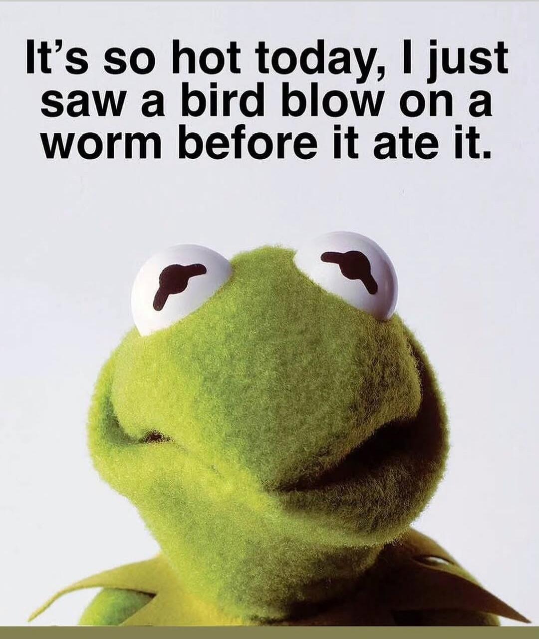It's so hot today, I just saw a bird blow on a worm before it ate it.