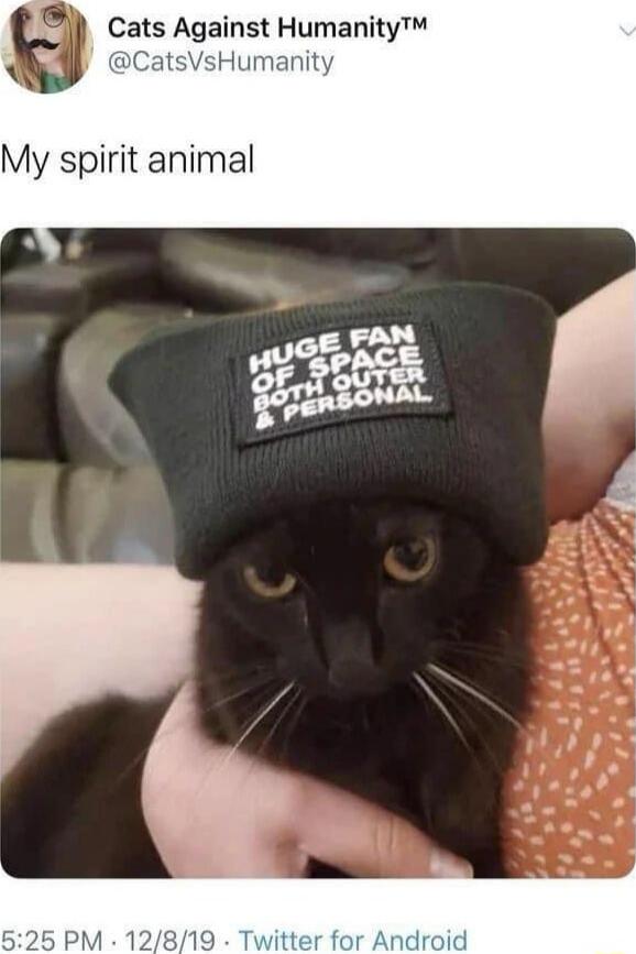 My spirit animal
HUGE FAN OF SPACE BOTH OUTER & PERSONAL