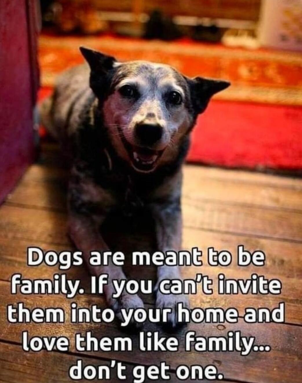 Dogs are meant to be family. If you can't invite them into your home and love them like family... don't get one.