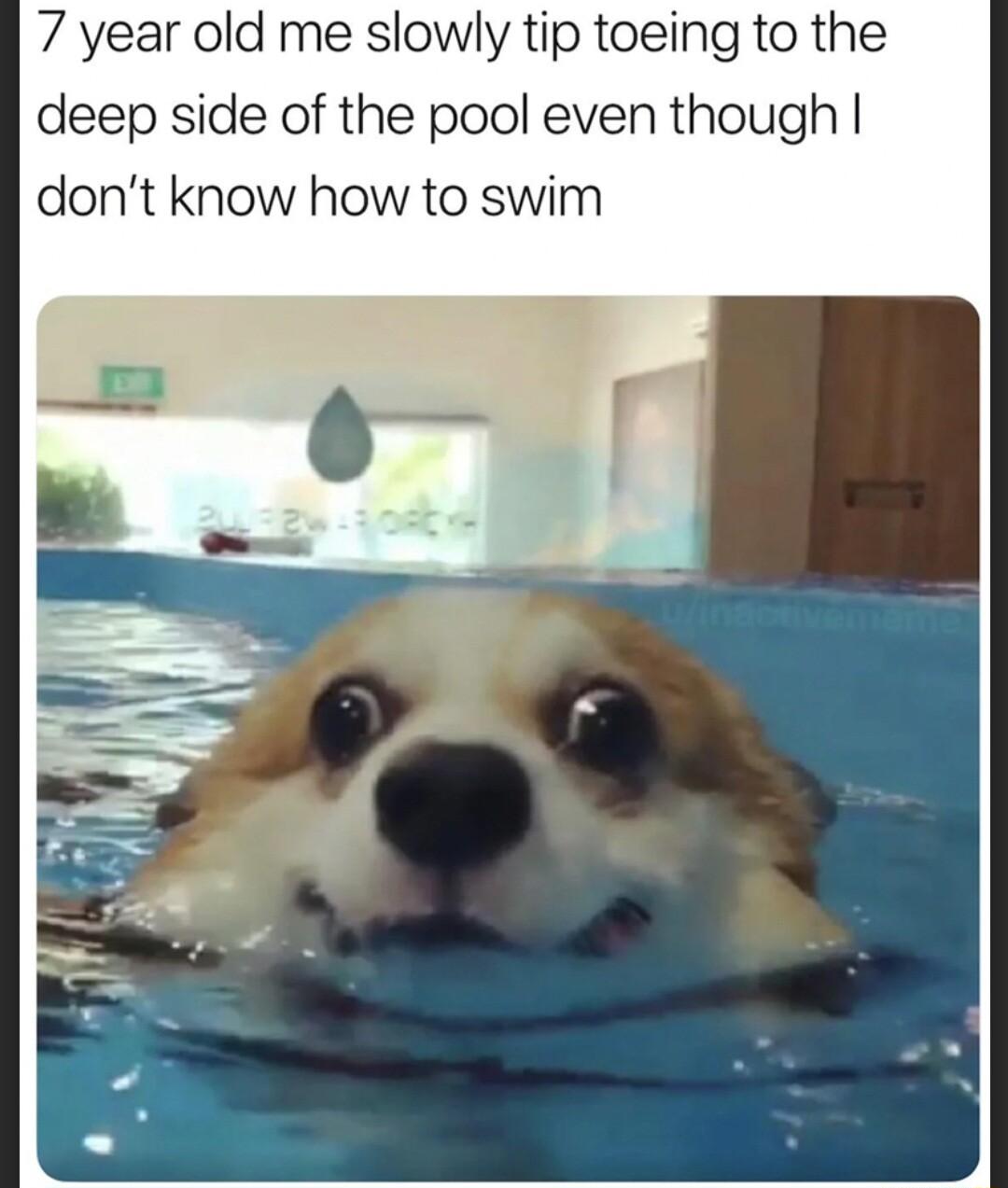 7 year old me slowly tip toeing to the deep side of the pool even though dont know how to swim