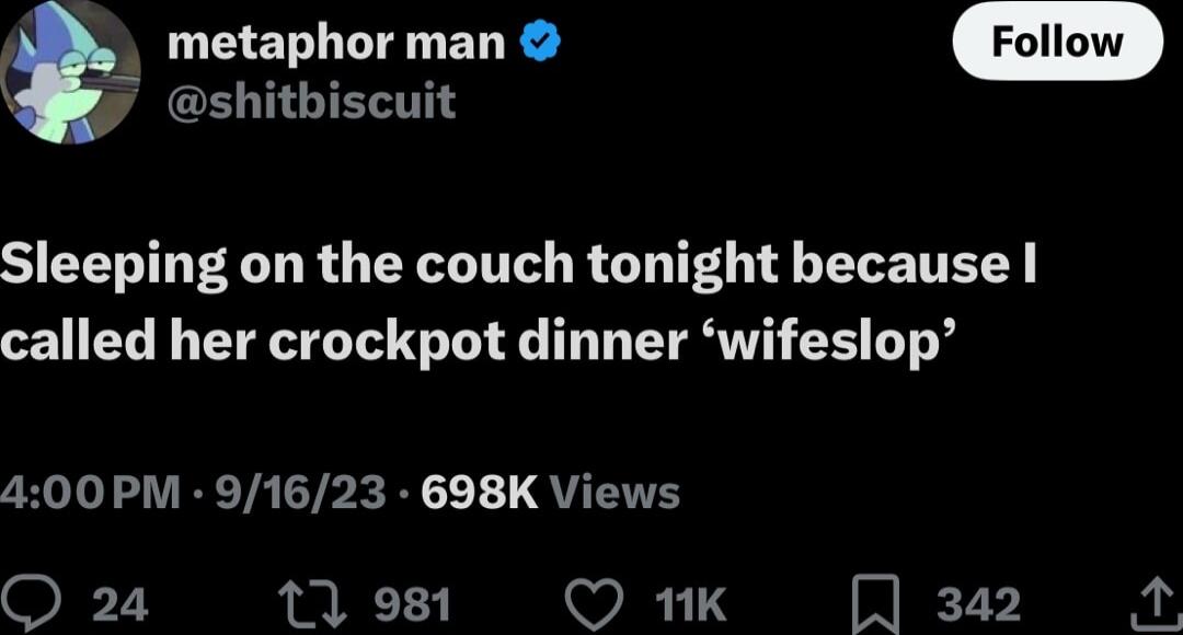 metaphor man y shitbiscuit SIEERER DR QLY RO TG ELE TR called her crockpot dinner wifeslop 400PM 91623 698K Views O 24 981 QO 1k 342