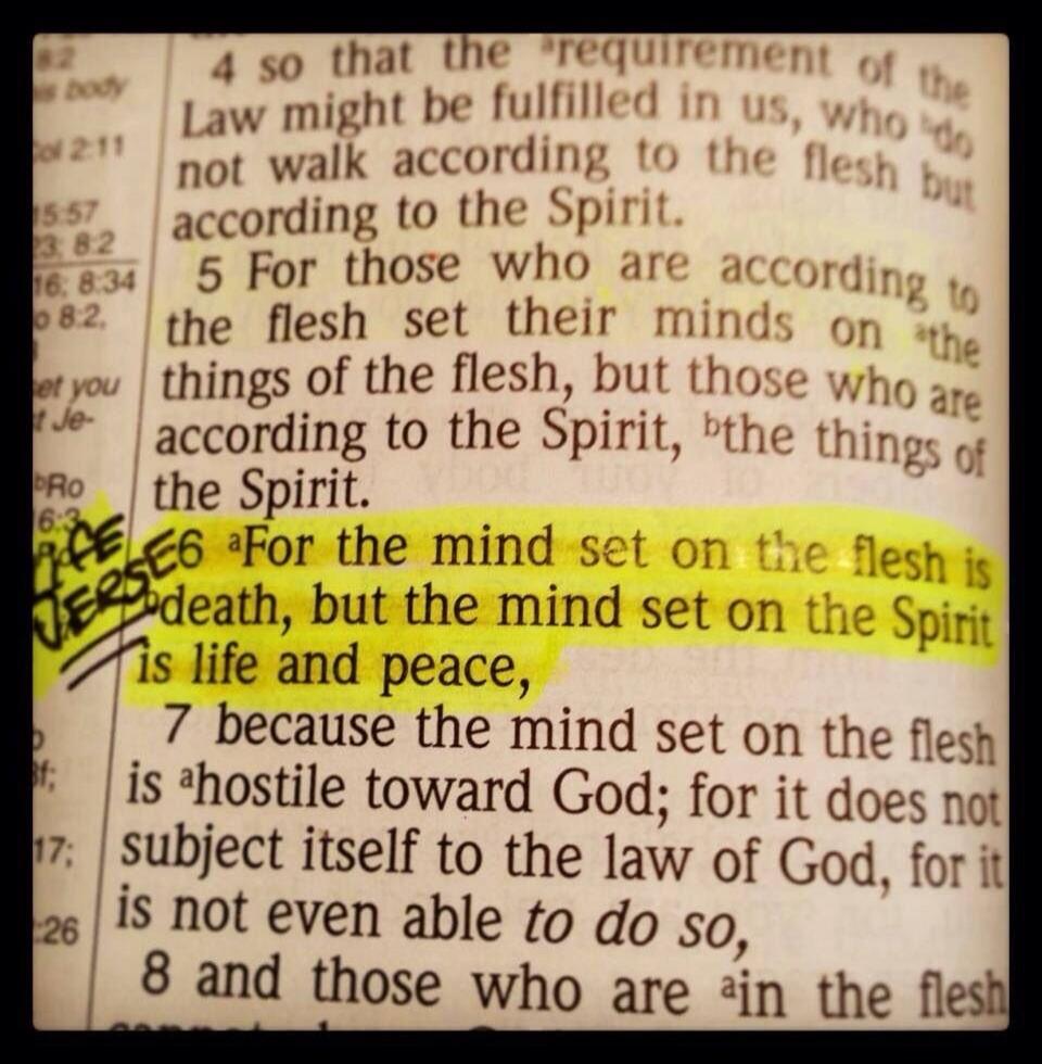 4 so that the requirement of the Law might be fulfilled in us, who do not walk according to the flesh but according to the Spirit. 5 For those who are according to the flesh set their minds on the things of the flesh, but those who are according to the Spirit, the things of the Spirit. VERSE 6 For the mind set on the flesh is death, but the mind se