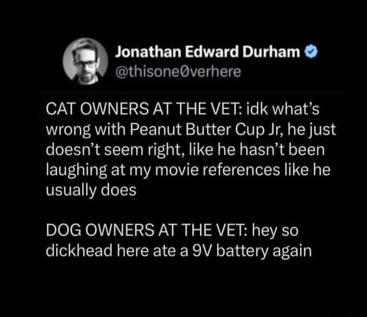 CAT OWNERS AT THE VET: idk what's wrong with Peanut Butter Cup Jr, he just doesn't seem right, like he hasn't been laughing at my movie references like he usually does

DOG OWNERS AT THE VET: hey so dickhead here ate a 9V battery again