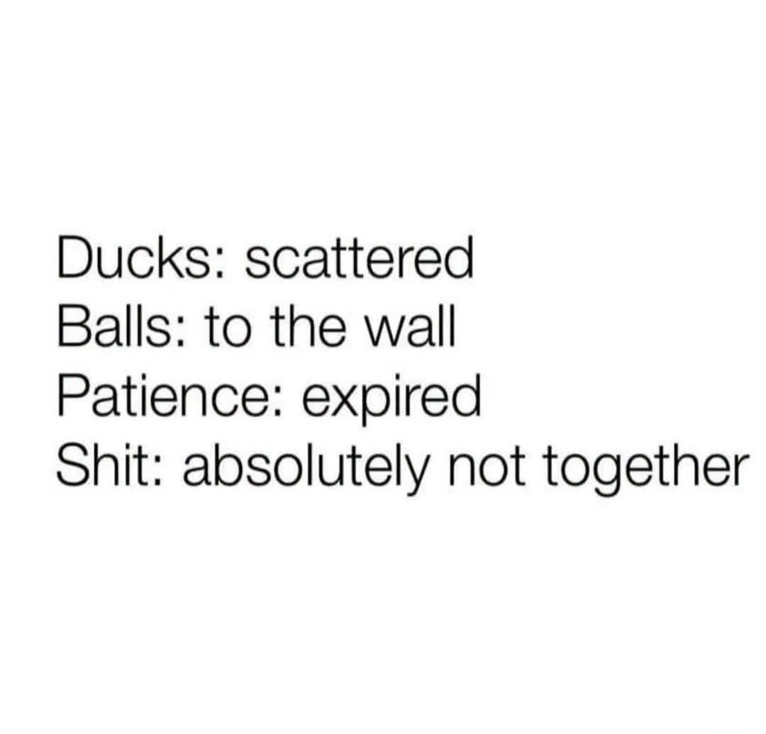 Ducks: scattered Balls: to the wall Patience: expired Shit: absolutely not together