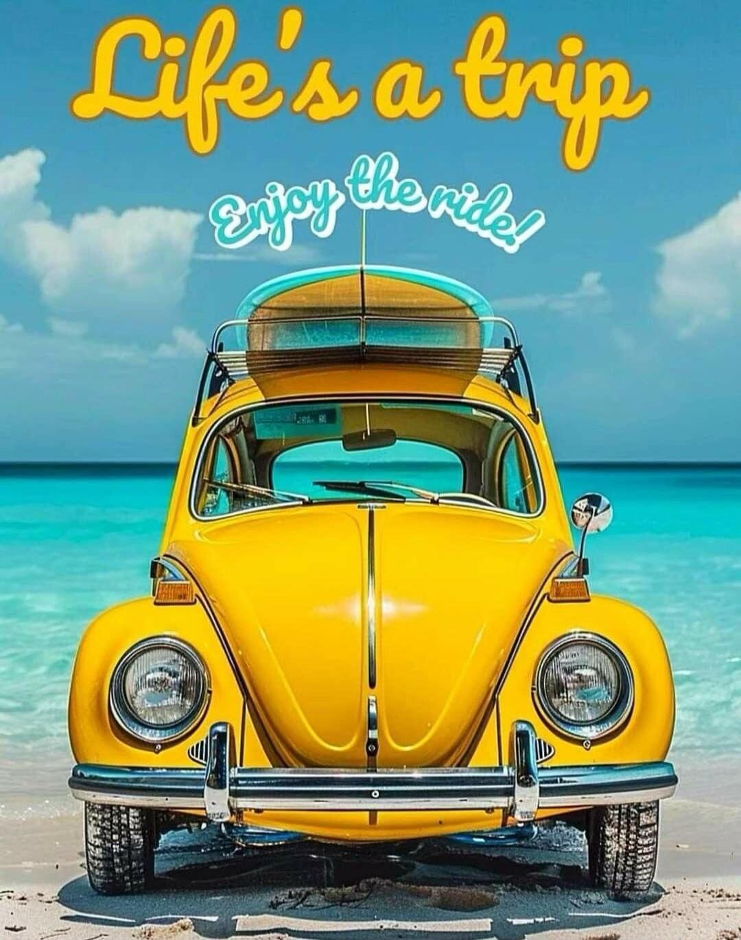 Life's a trip Enjoy the ride!