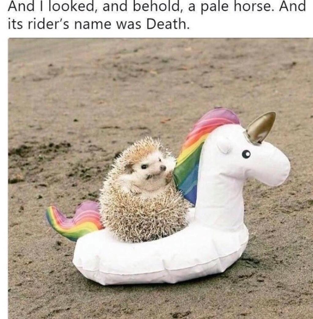 And looked and behold a pale horse Ana its riders name was Death