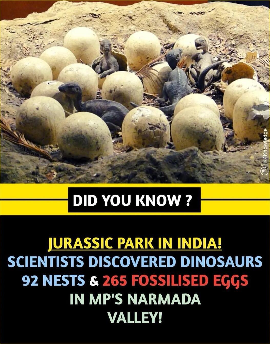 DID YOU KNOW ININ SCIENTISTS DISCOVERED DINOSAURS 92 NESTS 265 FOSSIL IN MPS NARMADA N2