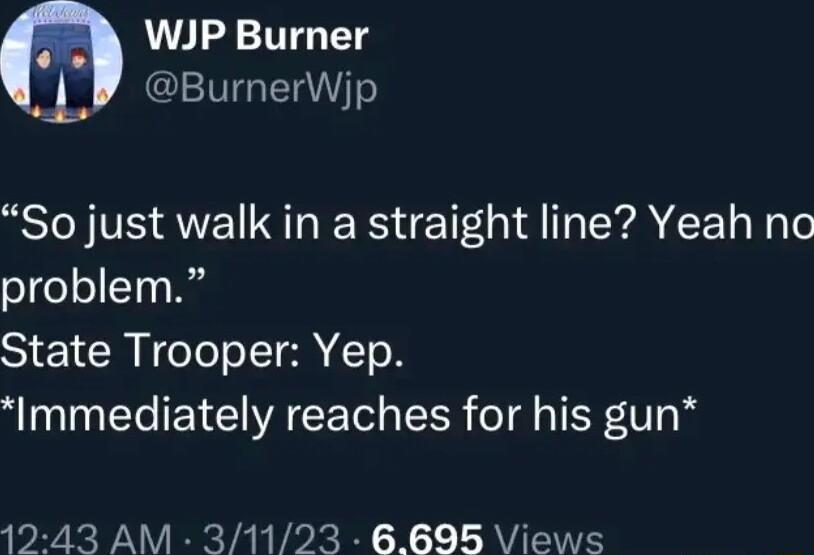 A WIJP Burner L GRS So just walk in a straight line Yeah no oeocTh i g State Trooper Yep Immediately reaches for his gun 1243 AM 31123 6695 VViews