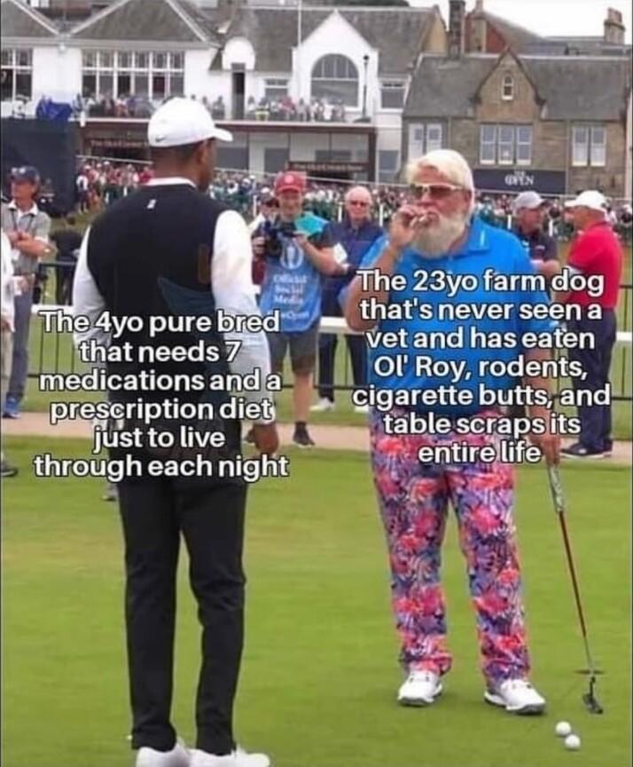 medications ELiele L Y tescription diets hp ustFtv live JI _ ablmrapsjts through each night nlre 3