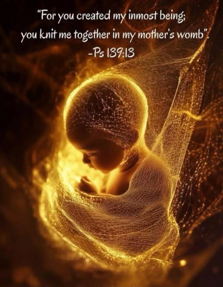 For you created my inmost being; you knit me together in my mother's womb. -Ps 139:13