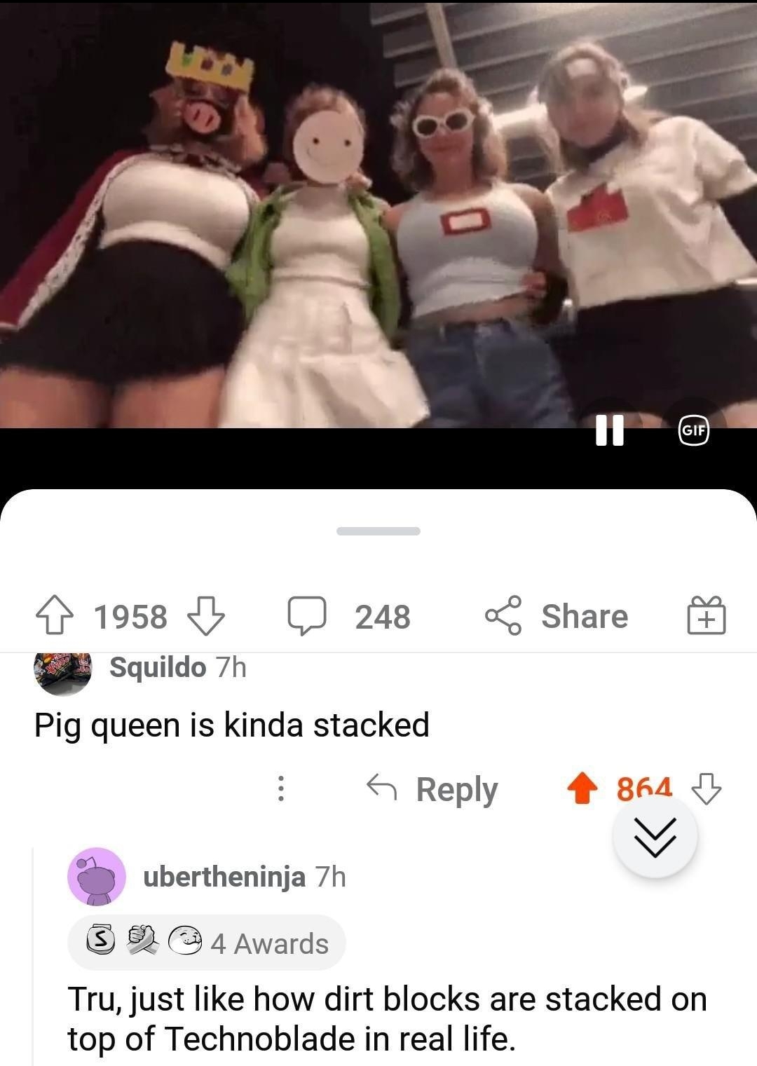 1958 L D 248 share saildo 7h Pig queen is kinda stacked Reply ubertheninja 7h 2 4 Awards Tru just like how dirt blocks are stacked on top of Technoblade in real life Posted in rcursedcomments l e1