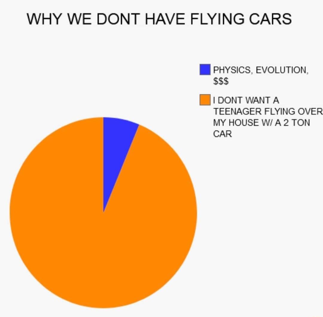 WHY WE DONT HAVE FLYING CARS PHYSICS EVOLUTION 55 1 DONT WANT A TEENAGER FLYING OVER MY HOUSE W A2 TON cAR