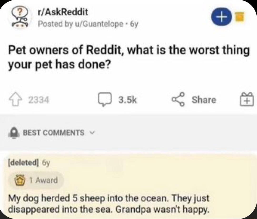 rg rAskReddit 1 Posted by uGuantelope 6y Pet owners of Reddit what is the worst thing your pet has done I 35k o Share 1 BEST COMMENTS deleted 6y 1 Award My dog herded 5 sheep into the ocean They just kdlnppelred into the sea Grandpa wasnt happy J