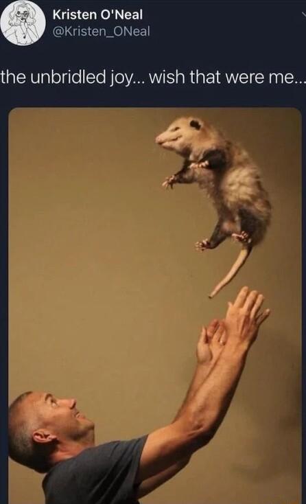 LGECHe N EE GLGECHMEIEE the unbridled joy wish that were me