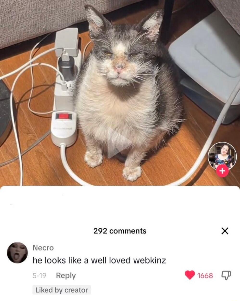 292 comments Necro he looks like a well loved webkinz Reply Liked by creator