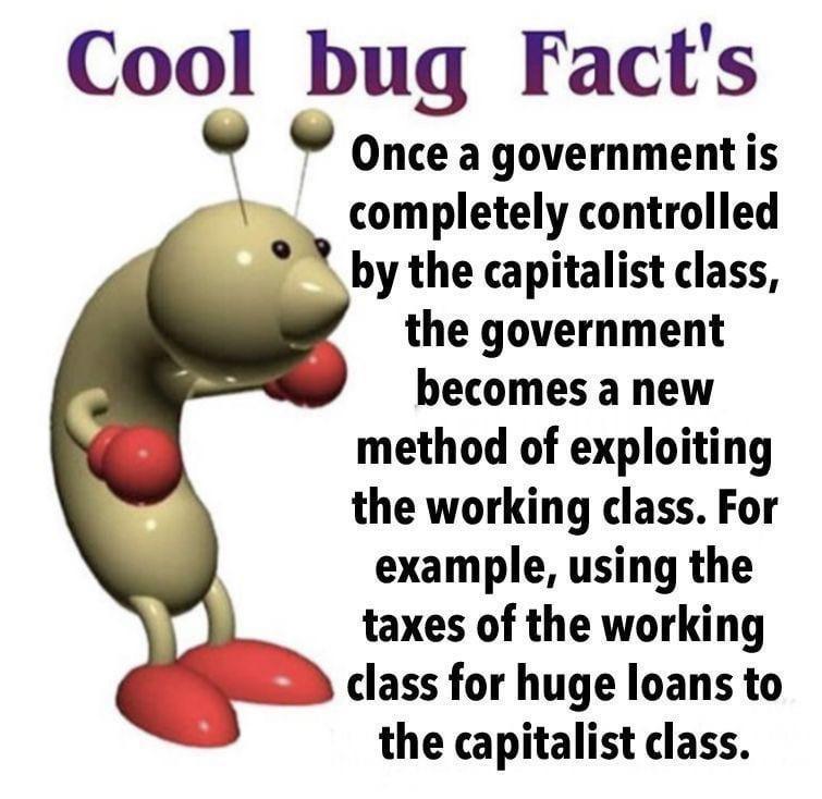 Cool bug Facts onceagovernmentis completely controlled by the capitalist class the government becomes a new method of exploiting the working class For example using the taxes of the working D class for huge loans to the capitalist class